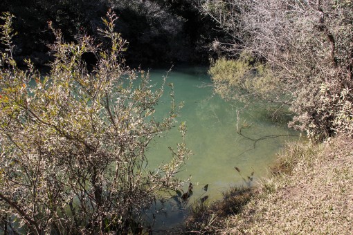 A lagoa dourada estava turva por causa da chuva e estava mais para turquesa porque ainda não era pôr do sol