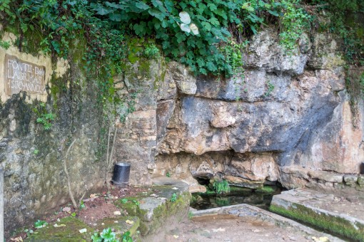 Quinta das Lágrimas