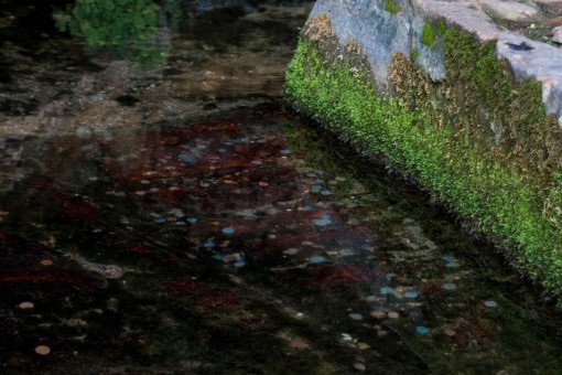 Sangue de Inês