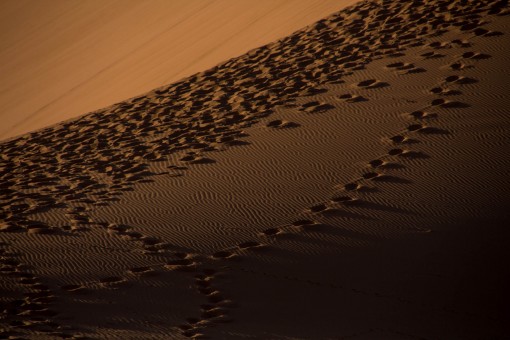 Contrastes na Duna 45