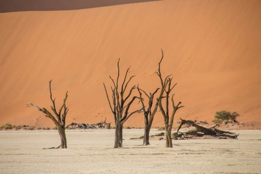 O lugar mais famoso da Namíbia. Apresento-lhes Deadvlei, o cemitério das árvores.