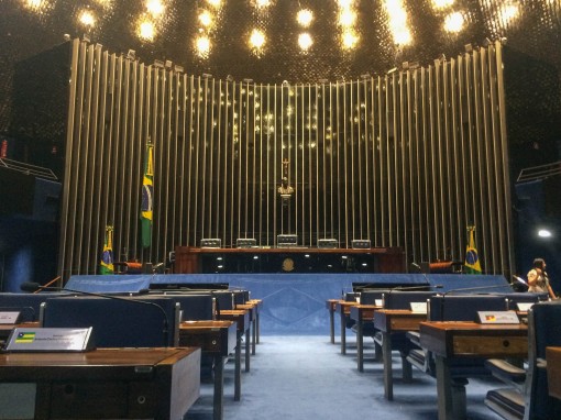 Repara a Bandeira Nacional no carpete do Senado. Criação do servente Clodoaldo.