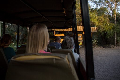 Caminhão com bancos e aberto dos lados para realizar os game drives.