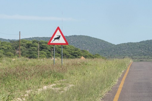 Pelas estradas da Namíbia sempre encontrávamos essa placa.Por sorte nenhum animal quis atravessar correndo na nossa frente nas estradas de asfalto.