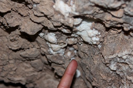 Sal saindo da rocha dentro das Cavernas de Sal no Atacama.