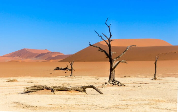 Deserto da Namíbia - Deadvlei com céu azul