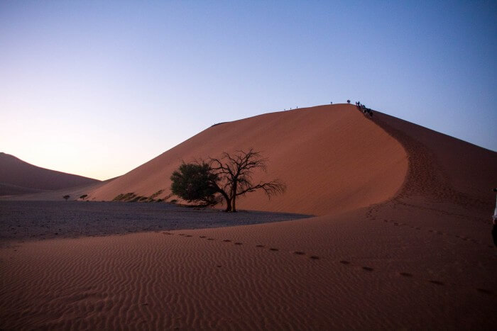 Deserto da Namíbia - Duna 45