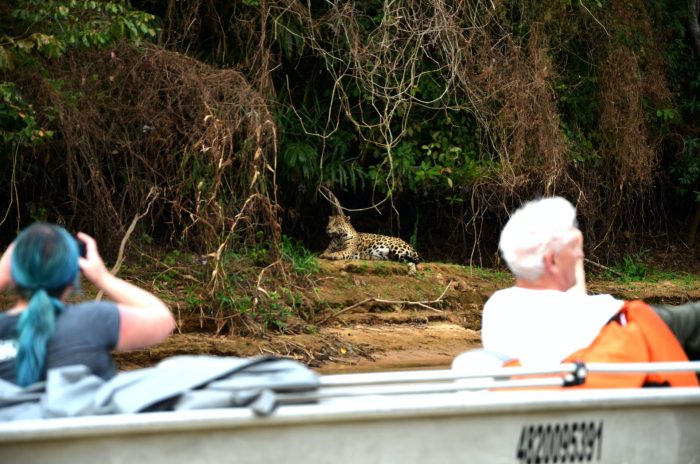 O que fazer no mato grosso do sul